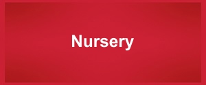 Nursery Products