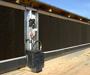 Evaporative Cooling